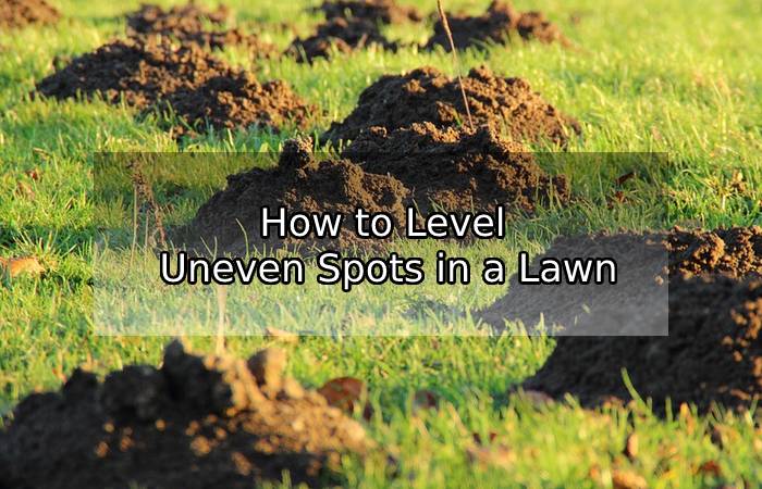 How to Level Uneven Spots in a Lawn