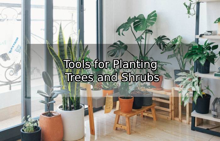 How to Properly Water Indoor Plants