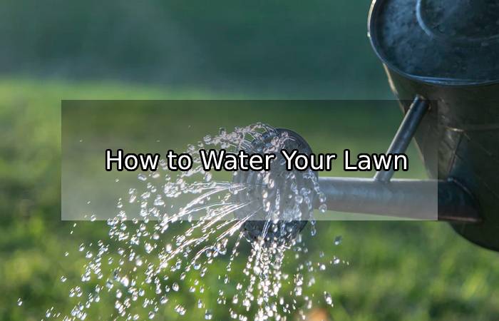 How To Water Your Lawn : Watering Tips