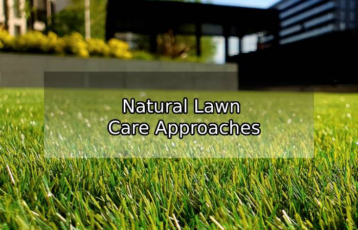 Natural Lawn Care Approaches